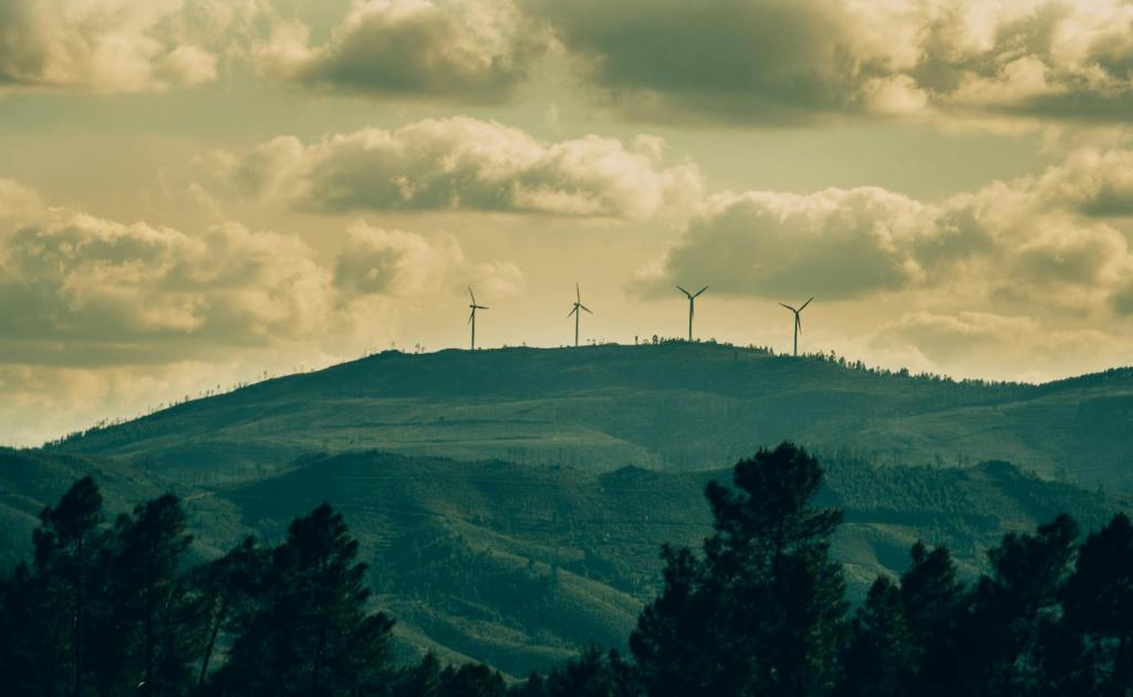 wind turbines on the hill